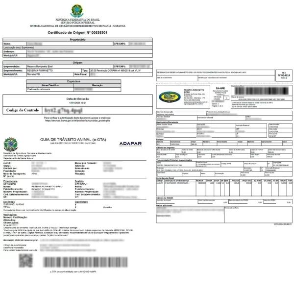 KIT Tartaruga Tigre d'água com Aquaterrário: MIX de Ração , Microchip, Documentos, GTA & Frete - Image 3